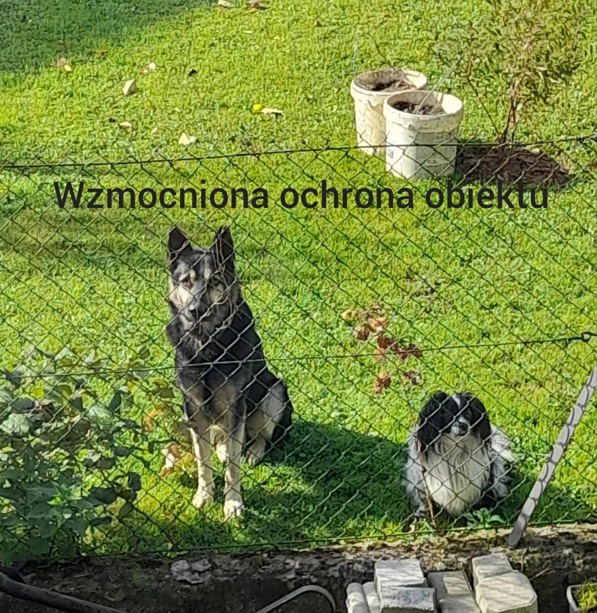 Homestay Grota